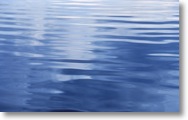Tranquil Surface